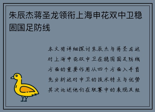 朱辰杰蒋圣龙领衔上海申花双中卫稳固国足防线